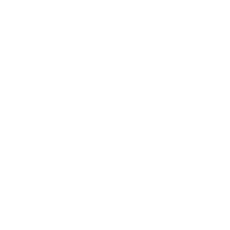 Connettività