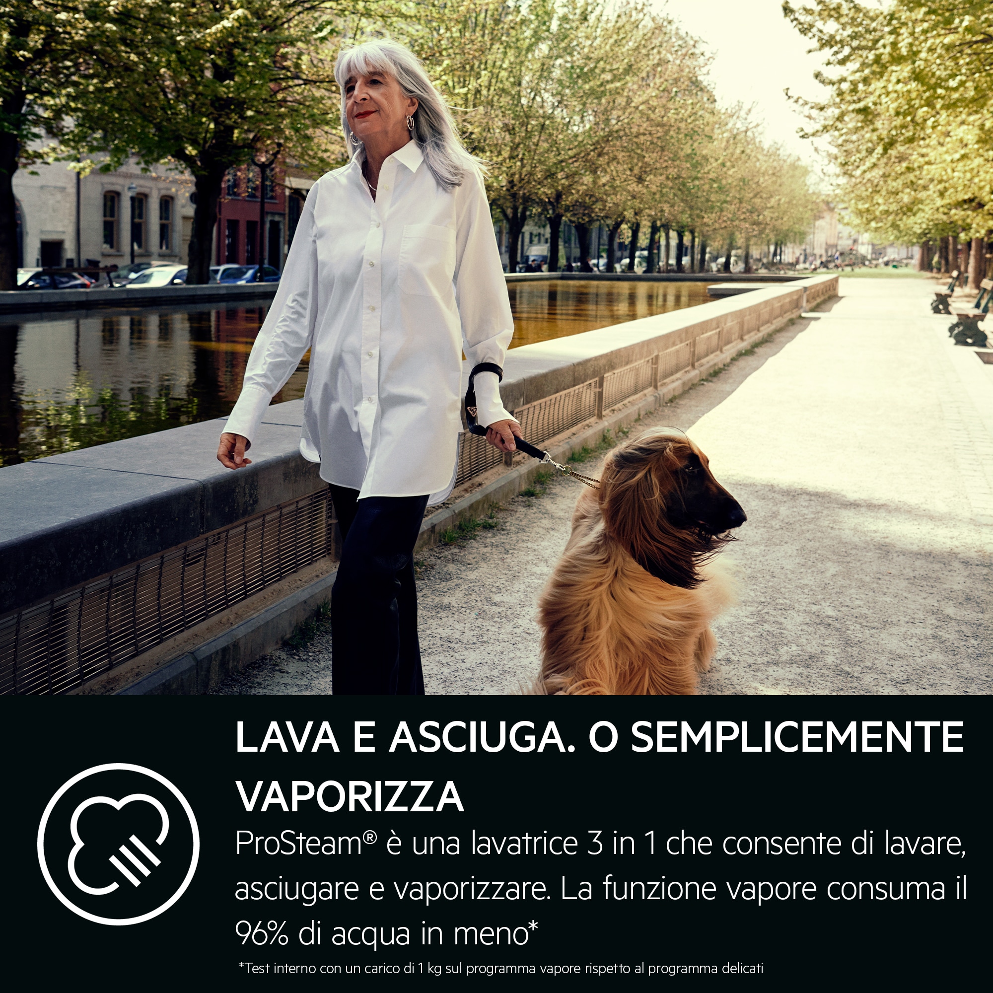 AEG - Lavasciuga da incasso - L7WEE84BI