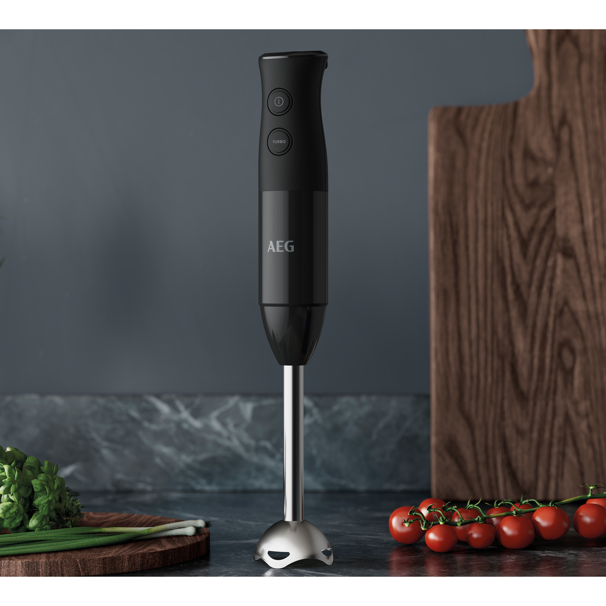 AEG - Frullatori ad immersione - HB4-1-6GG