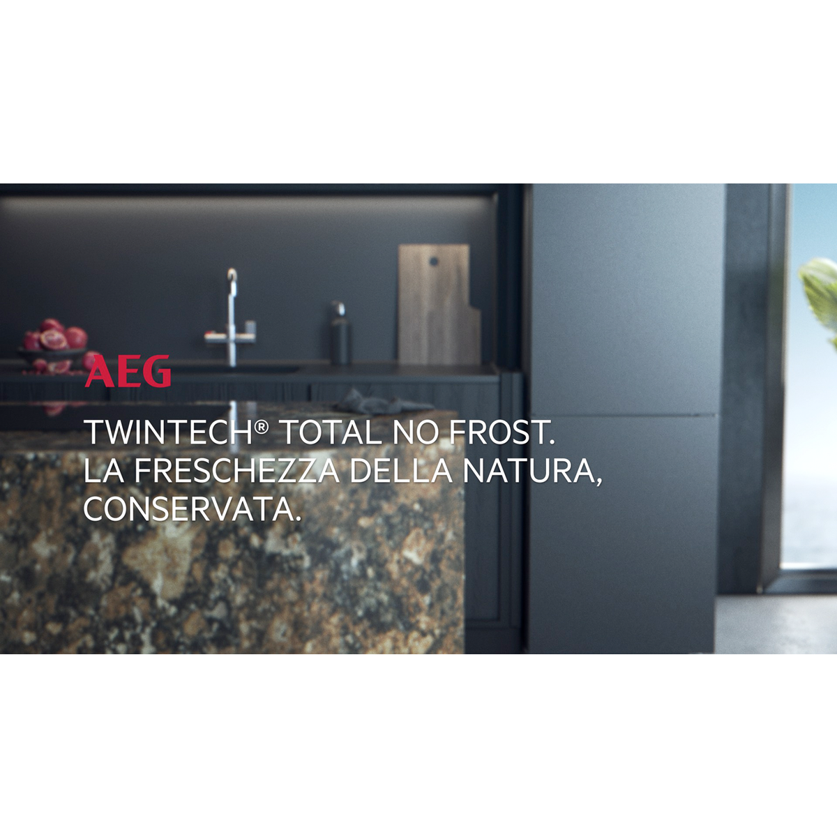 AEG - Frigocongelatori a libera installazione - ORC6M481EL