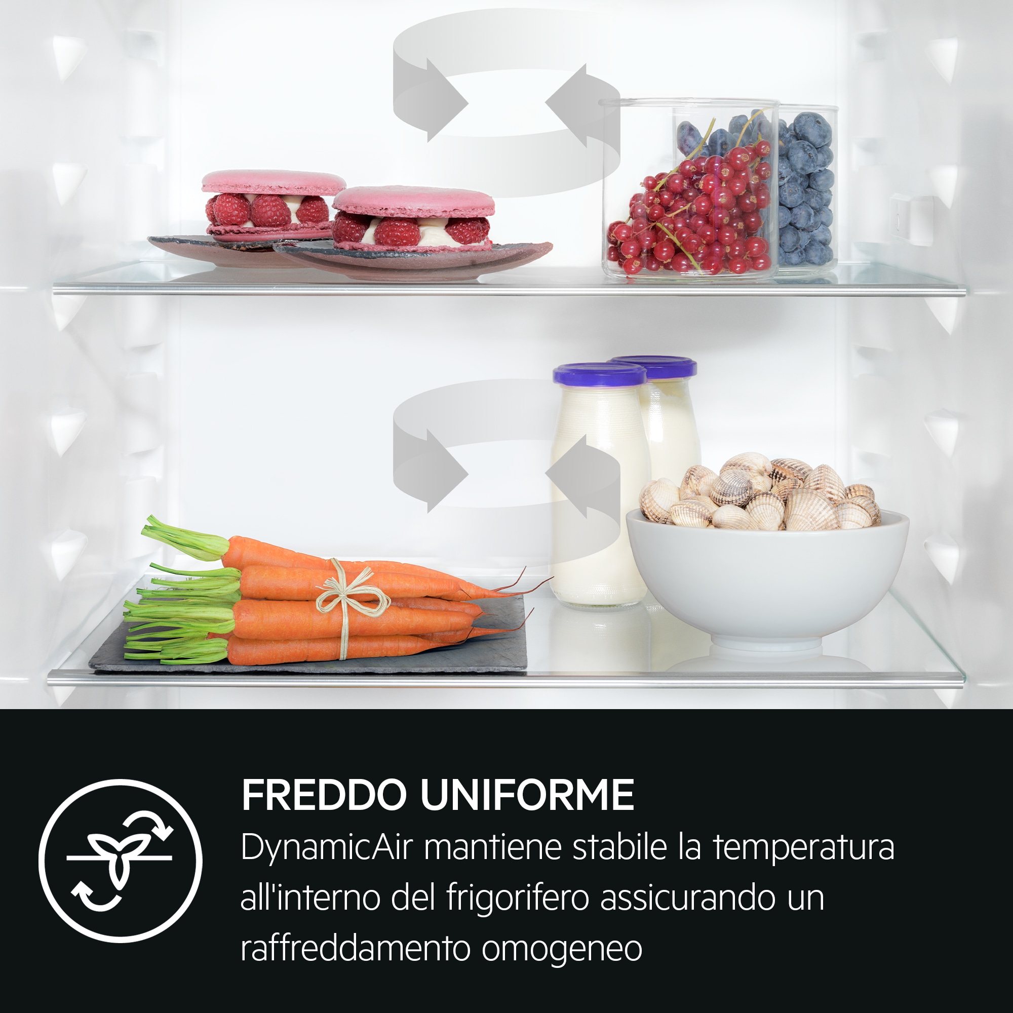 AEG - Frigocongelatori da incasso - NSC9V181CS