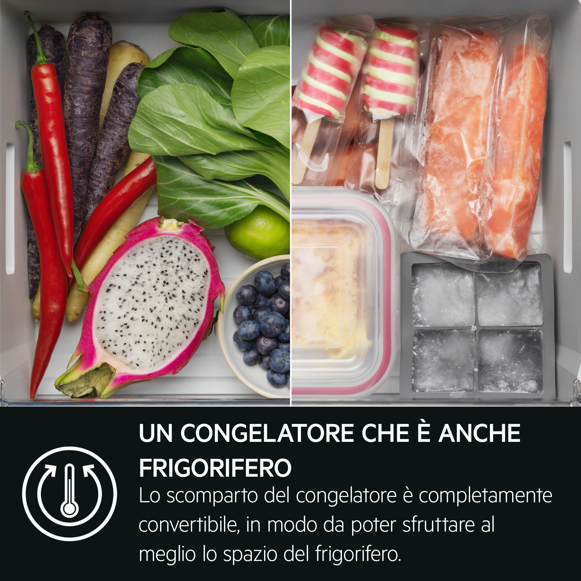 AEG - Frigocongelatori da incasso - NSC9V181CS