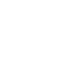 Timer singole zone