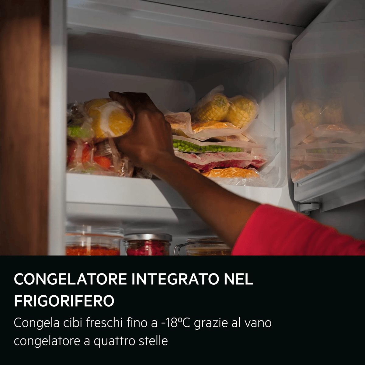 CONGELATORE INTEGRATO NEL FRIGORIFERO Congela cibi freschi fino a -18ºC grazie al vano congelatore a quattro stelle
