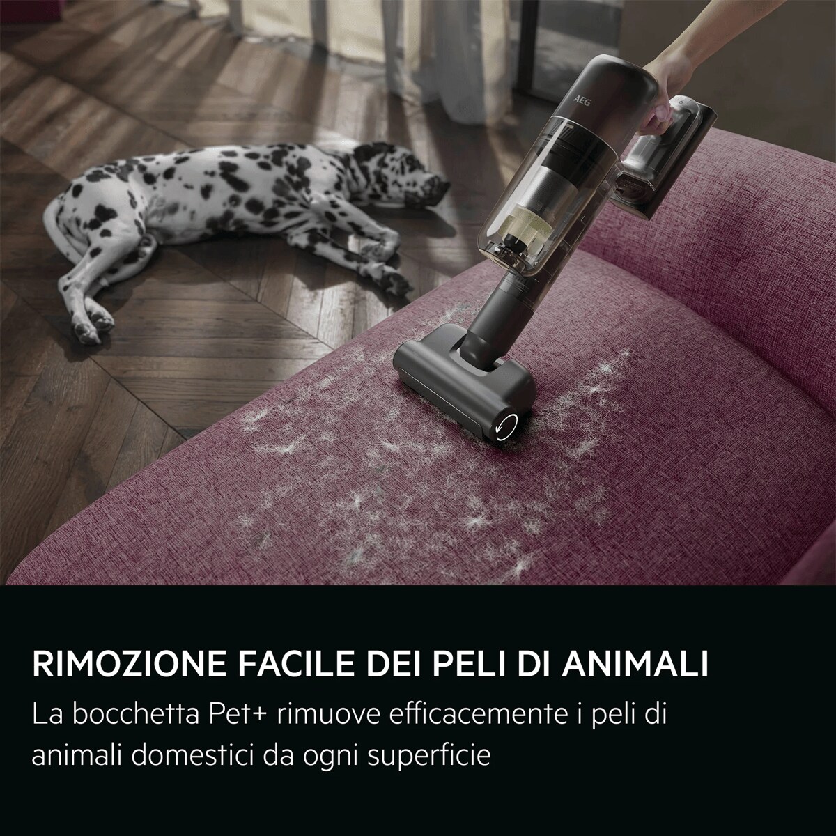 RIMOZIONE FACILE DEI PELI DI ANIMALI La bocchetta Pet+ rimuove efficacemente i peli di animali domestici da ogni superficie