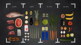 Cibi appartenenti ai diversi gruppi di alimenti