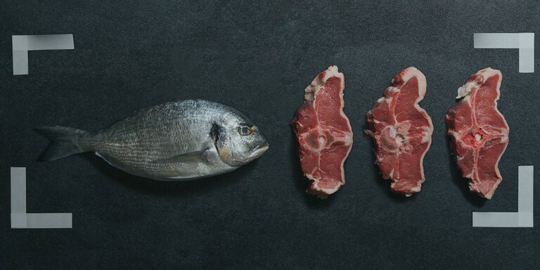 Diversi tipi di carne e pesce