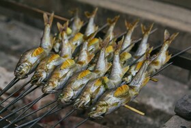 Selezione di pesci arrostiti sulle braci