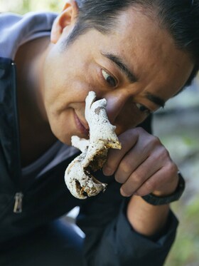 Hisato annusa dei funghi orecchioni appena raccolti